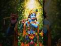 श्री राधारानी कृपा से 🙏❤️ #barasana #premanandjipravachan #vrindavanmarg#ytshorts #शॉर्ट्स
