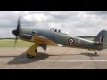 Hawker Sea Fury - Power of the Centaurus