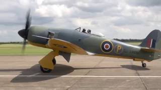 Hawker Sea Fury - Power of the Centaurus