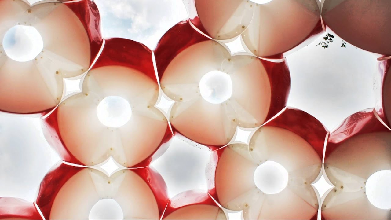 Study With the Best: Things CUNY Has Built