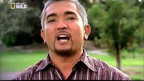 [Présentation] La porte domotique (Arduino/RFID)