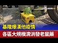 基隆爆漢他疫情 各區大規模清消發老鼠藥
