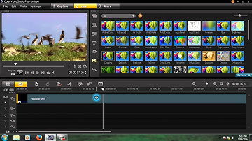 how to get fast & slow motion in video studio-tutorial 9