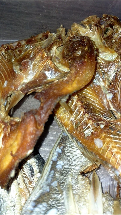 Fresh Dried Fish from Socorro!