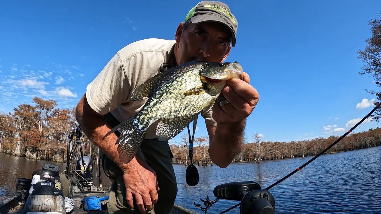 Ловля краппи, ловля краппи в траве