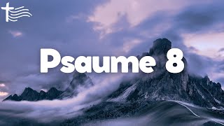 Psaume 8 • La Puissance du nom divin • Prière d'action de grâce