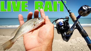 Using LIVE BAIT for Beach Fishing - SNOOK ON!