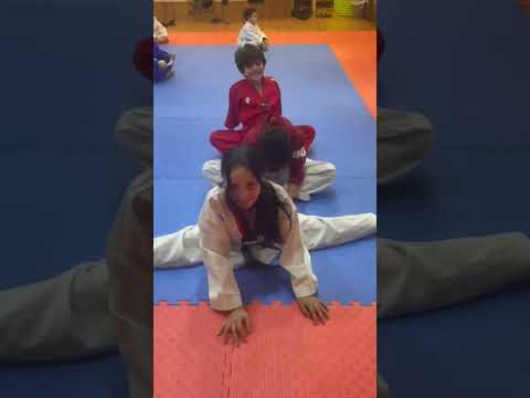 الفسخ على طريقة التايكوندو Tkd