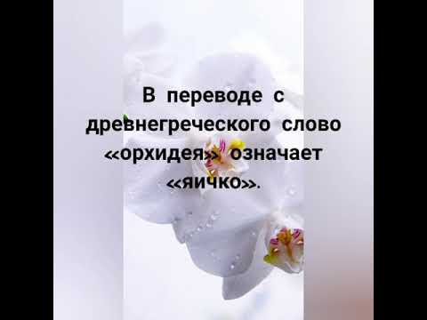 Интересные факты об