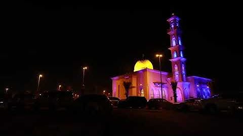 تلاوة من سورة غافر للقارئ رعد بن محمد الكردي من الاية 78 الى الاية 85