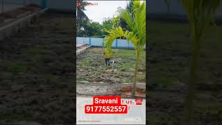 kakupalli 69000 contact 9177552557