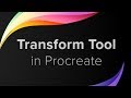 Procreate Tutorial for Beginners - Transform Tool (pt 7)