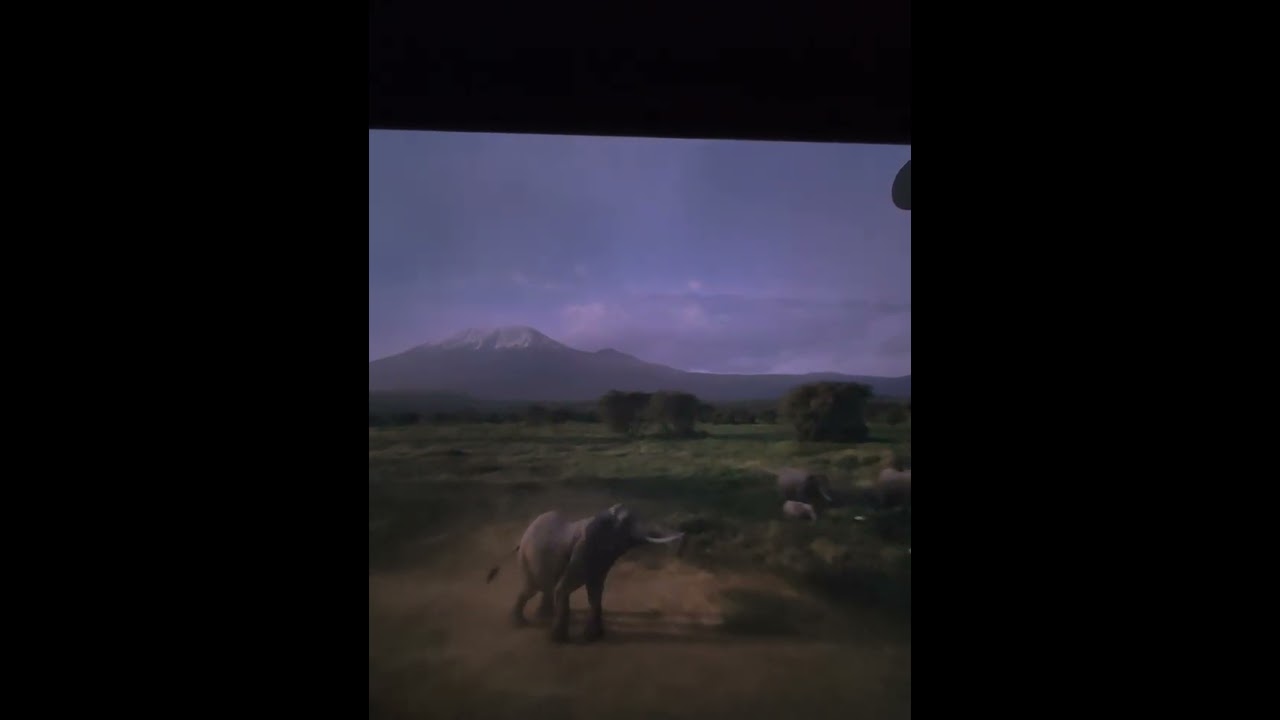 Soarin around the world #disneyland #shorts