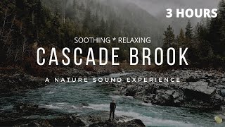 3 Hours Relaxation Cascading Brook Sounds, Meditation, Nature Sounds, Yoga, Studying, Deep Sleep.