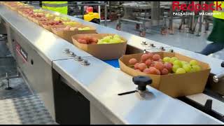 Redpack P325E Horizontal Flow Wrapper Packaging Punnets of Grapes | www.ProPac.com