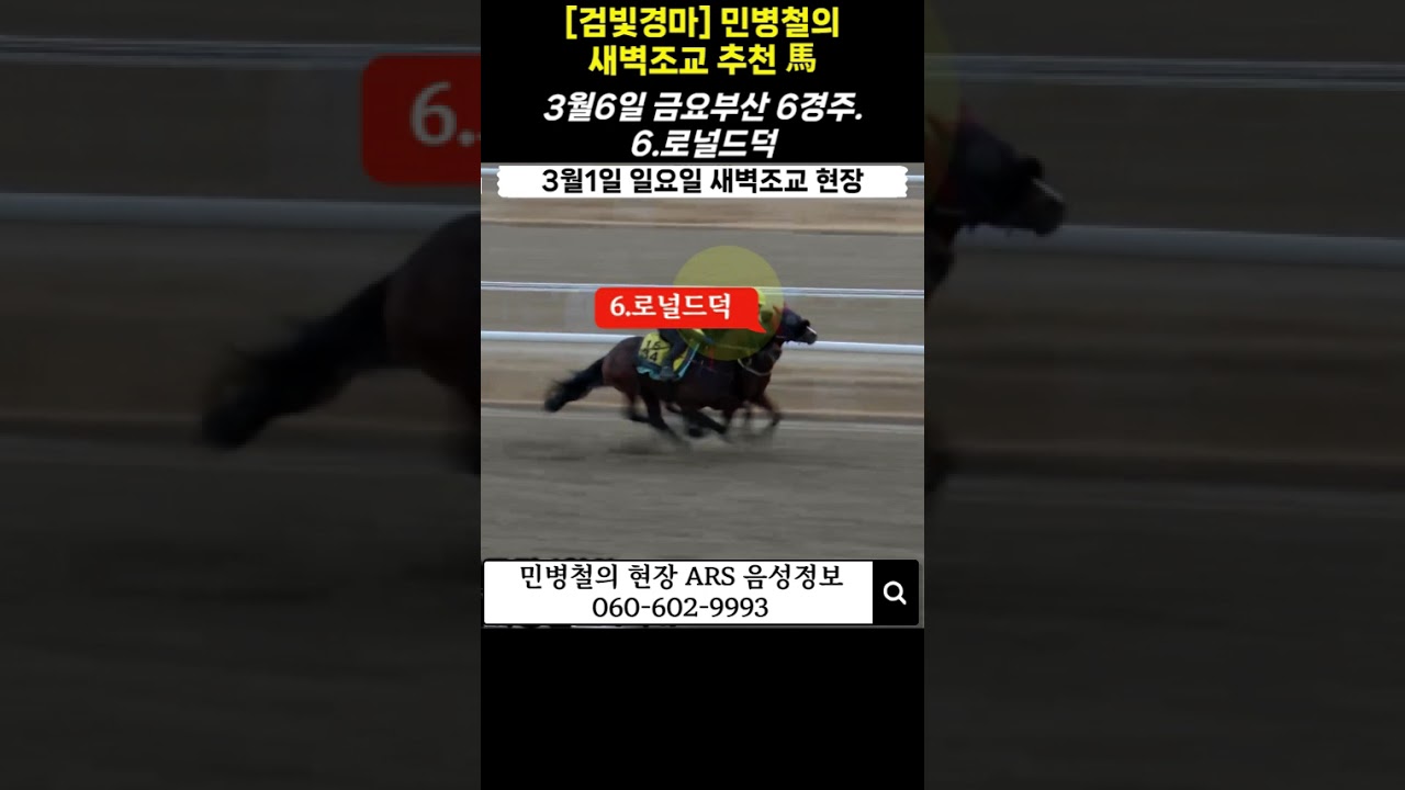 #3월6일 금요부산!민병철의 새벽조교 우수馬!