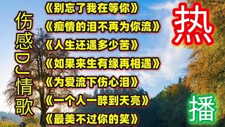 伤感DJ情歌，声泪俱下《别忘了我在等你》《痴情的泪不再为你流》