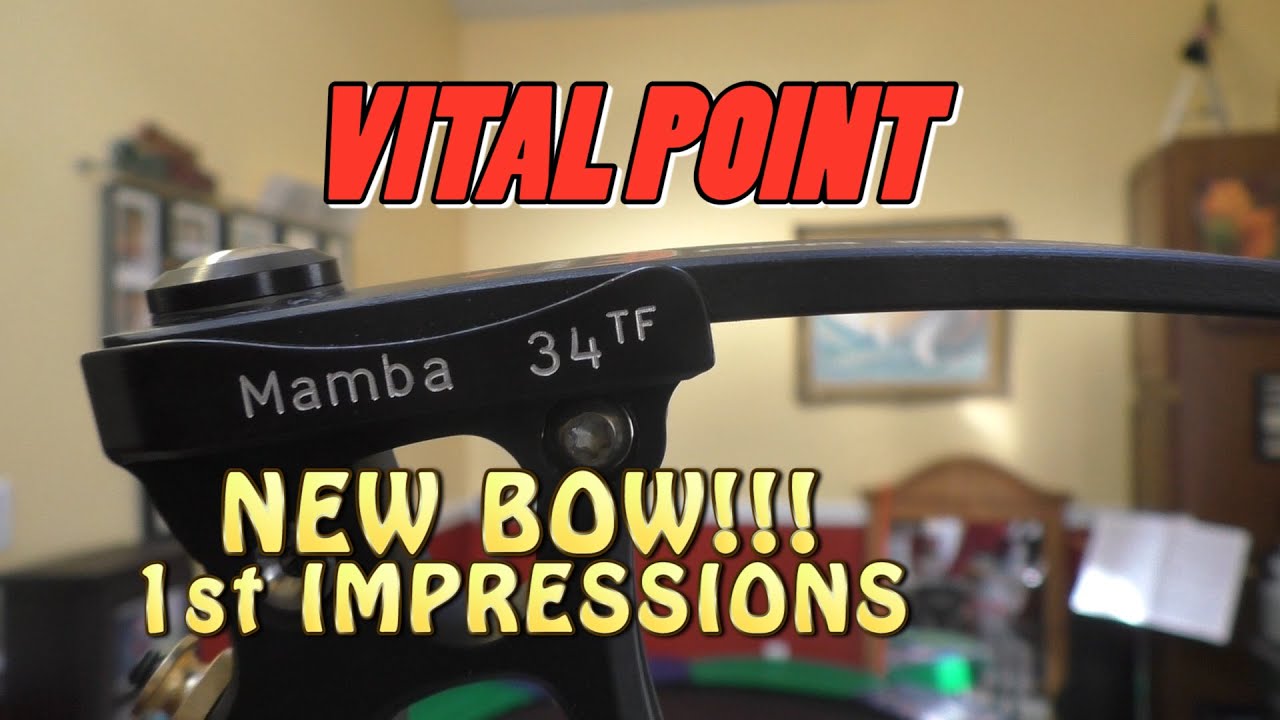 I got a new bow!!!  First impressions of the APA MAMBA.