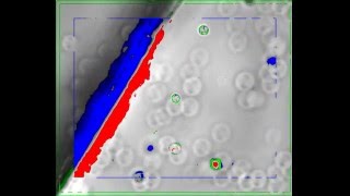 Particle Focal Plane Detection Using Variable Scale-space Laplacian