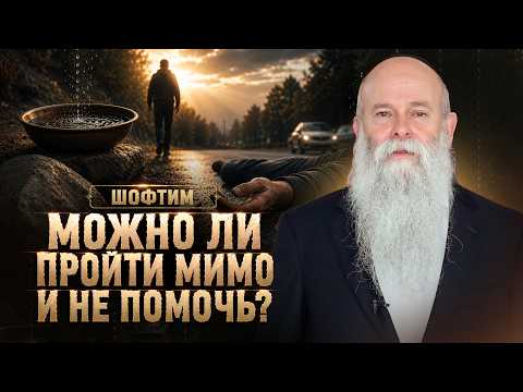 Why Are We Responsible for What We Could Have Prevented? | Shoftim Chapter