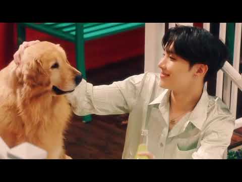 BTS - Chaleya [FMV]