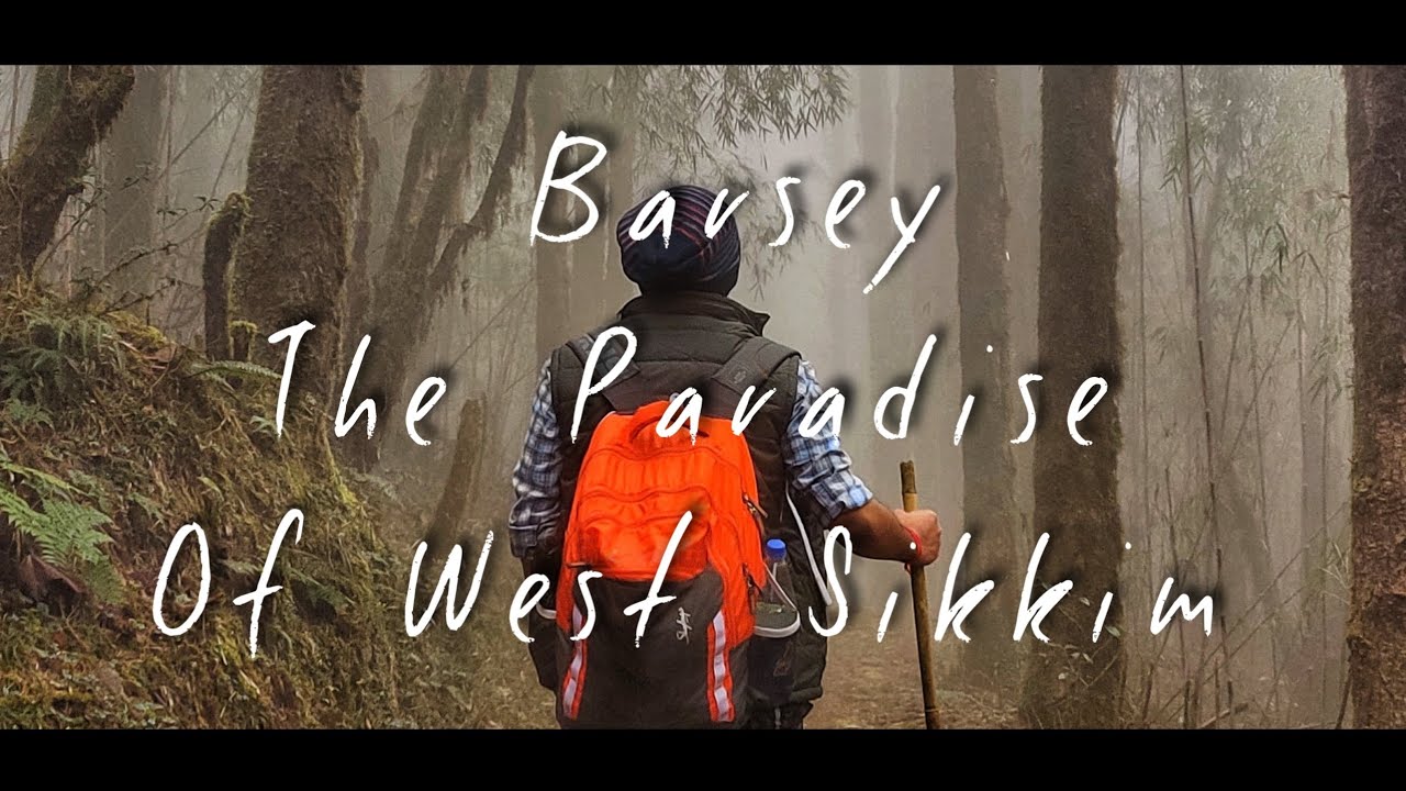 Barshey||The Paradise Of West Sikkim||Rhododendron Sanctuary||Snowfall||Hilley To Barsey Trek||