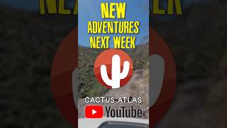 New Cactus Atlas Adventures!!