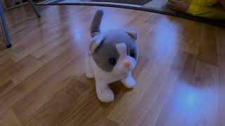 Zan's Animatronic Toy Cat