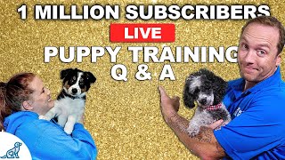 1 MILLION Subscriber Puppy Training Q&A!