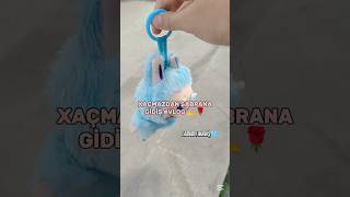 Labubu Açtikçikutpls