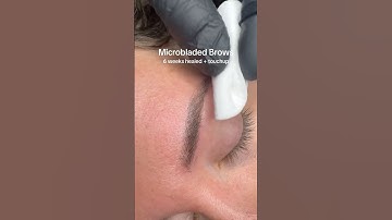 6 Weeks Later… Did My Microbladed Brows Survive?! 👀💀
