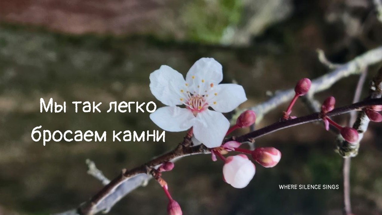 Мы так легко бросаем камни 