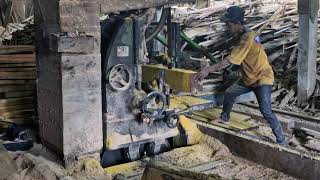The Power of Technology: High-Tech Sawmill Processing Giant Hardwood Logs