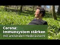 Corona - Immunsystem stärken mit antiviralen Heilkräutern!