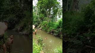 Download Lagu Muaro paneh MP3