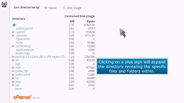 How to use the Disk Space Usage tool in cPanel