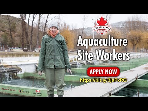 Canadian Job Vacancies with Permanent Residence for the family: Aquaculture Site Workers