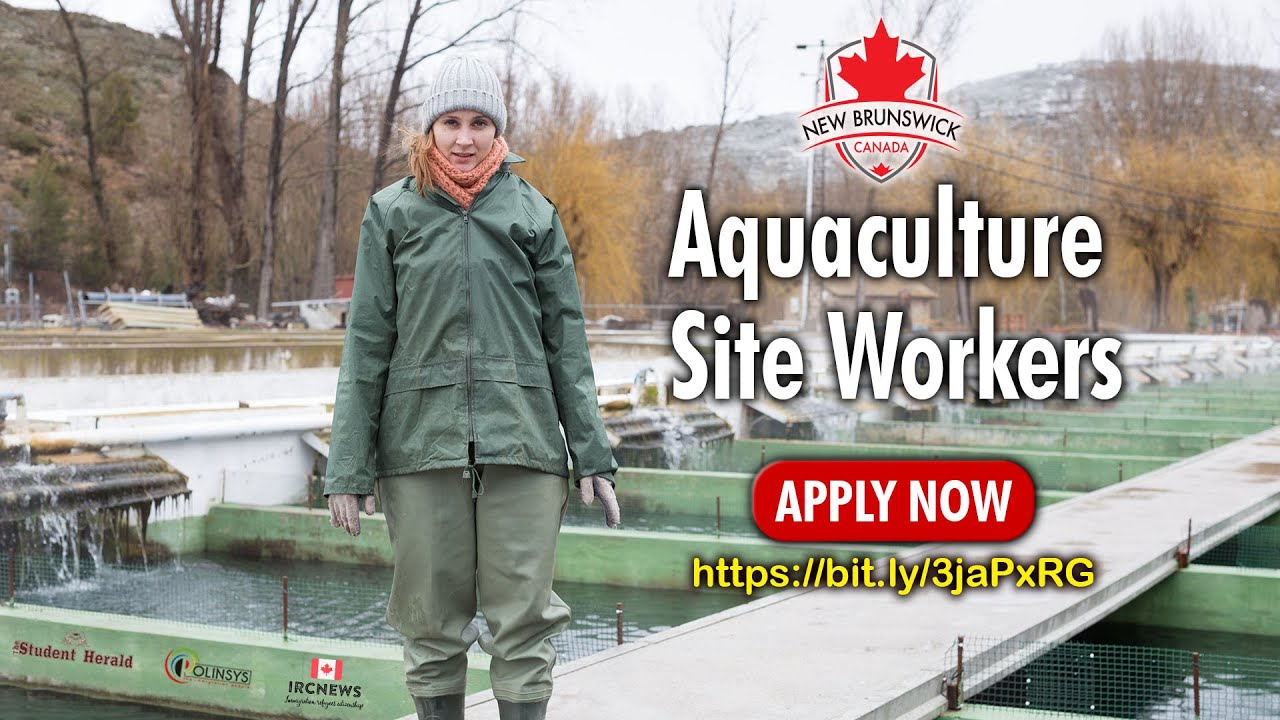 Canadian Job Vacancies with Permanent Residence for the family