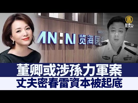 董卿或涉孙力军案 丈夫密春雷资本被起底