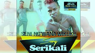 Seni Ng Wana Wighuku Ft Foni Serikali Mbasha Studio