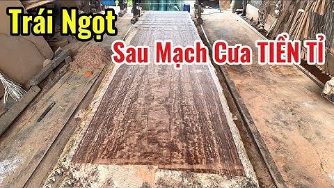 TRÁI NGỌT ĐẦU TIÊN Sau Mạch Cưa Tiền Tỉ - Gọi Tên Siêu Chiếu Nguyên Khối Gỗ Cẩm Lai