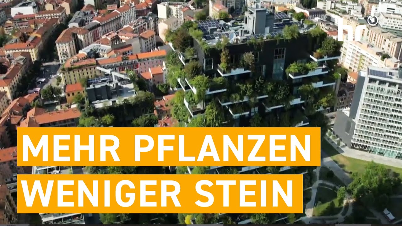GRÜN statt GRAU - Wie Städte jetzt gegen die Hitze pflanzen | mex