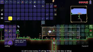 Terraria