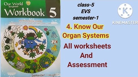 class-5#EVS#Lesson-4#semester-1#4.Know our organ system#All worksheets#Assessment