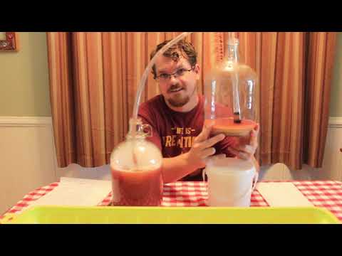 Transfer Beer to Secondary Jug
