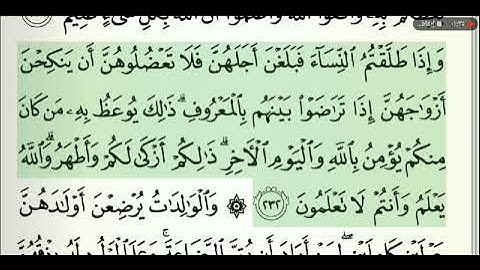 صفحة رقم 37 الشيخ وديع اليمني القرآن الكريم