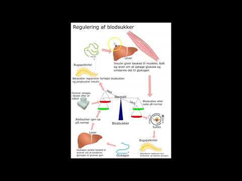 Video: En Semi-parametrisk Blandet Model Til Langsgående Målte Fastende Blodsukkerniveau Hos Voksne Diabetespatienter