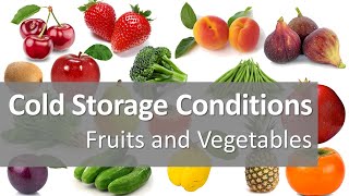 The Best Temperature and Relative Humidity for Fruits and Vegetables