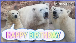 おめでとう！ホッキョクグマの豪太とユキ 誕生日記念