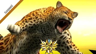 Leopard Gameplay Strong Animal Kaiser Max4  animal Gameplay
